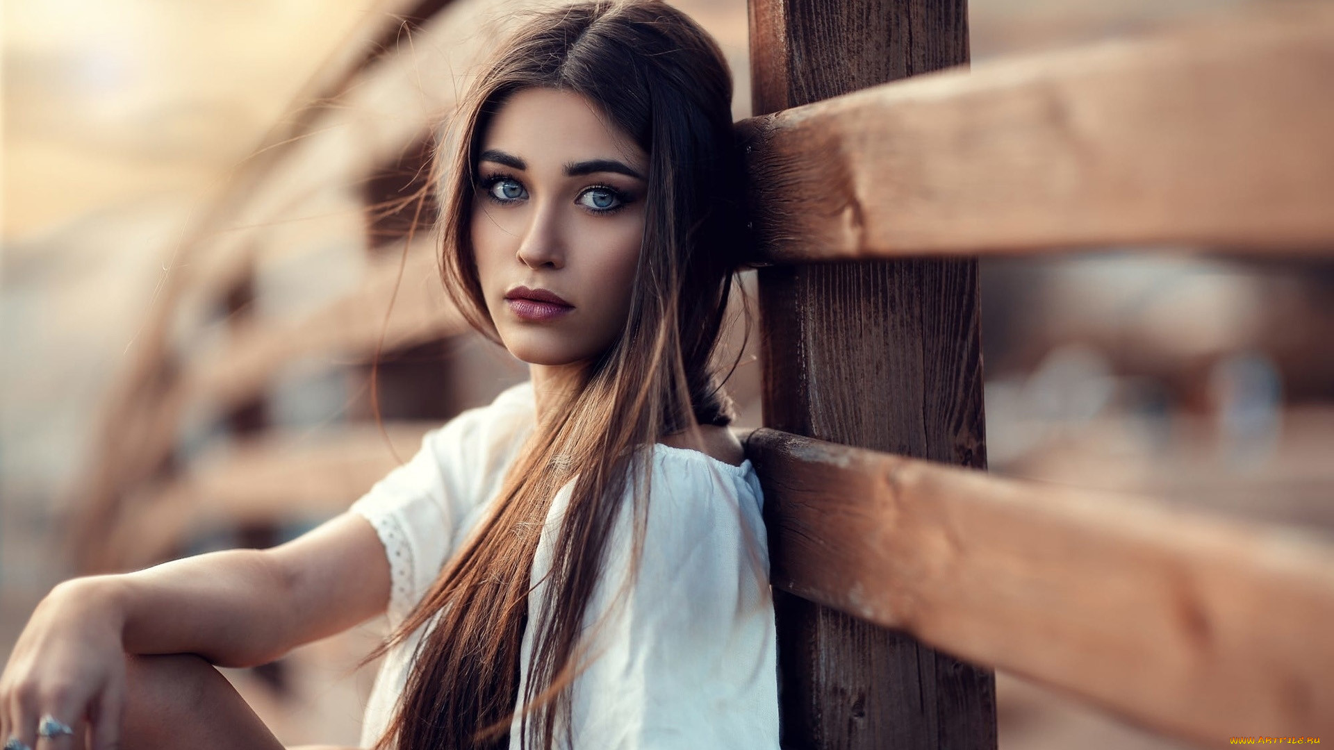 , - ,  , , 